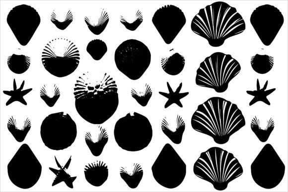 Download Best Selling Sea Shell Silhouette Bundle - Selling Collection