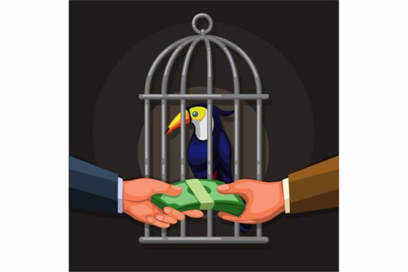 Download People Selling Toucan Exotic Bird Vector - Selling Collection