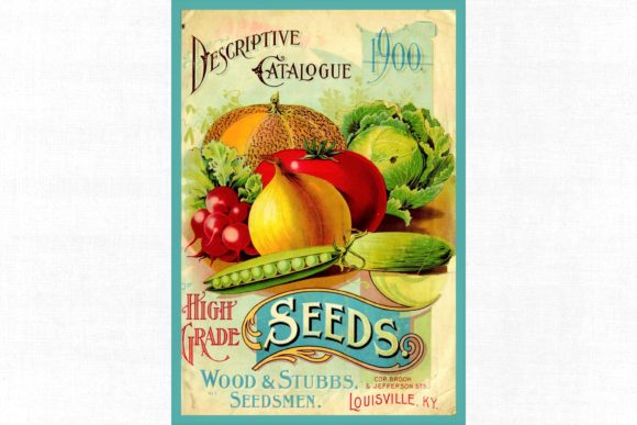 Download Vintage Seed Catalog # 104 - Cat Collection